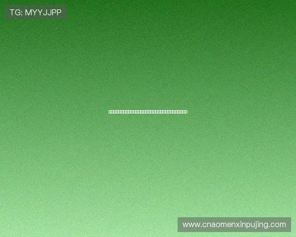 新普京注册平台官网安全可靠注册流程详解保障玩家账号安全与顺畅体验